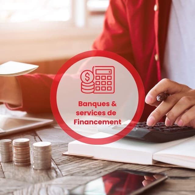 BANQUES & SERVICES DE FINANCEMENT 
