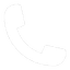 Phone Icon